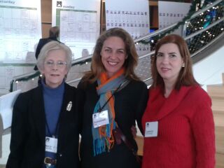 Mary Jo Deering, Susannah Fox, and Lygeia Ricciardi