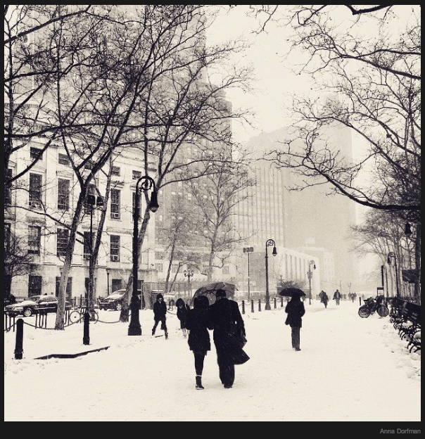 Snow day in New York City, captured by Anna Dorfman on Instagram