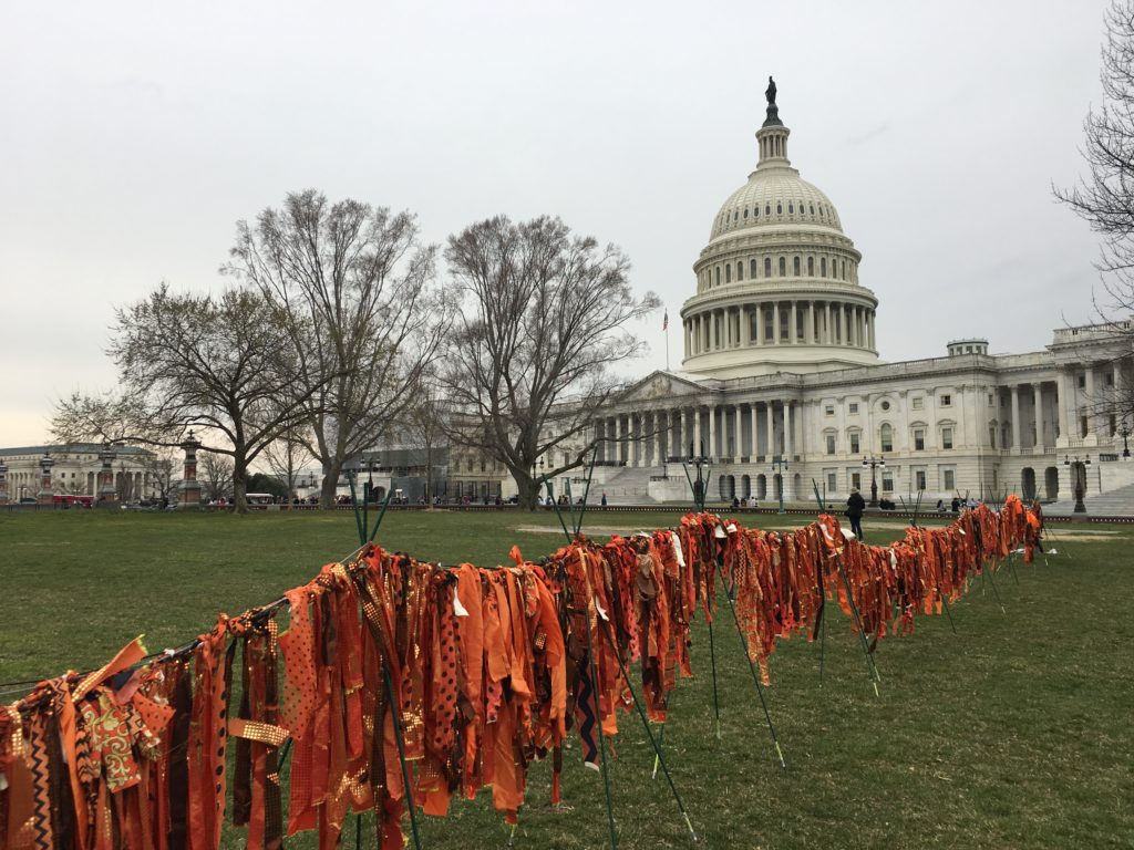 Jacqueline von Edelberg gun violence installation with Capitol dome