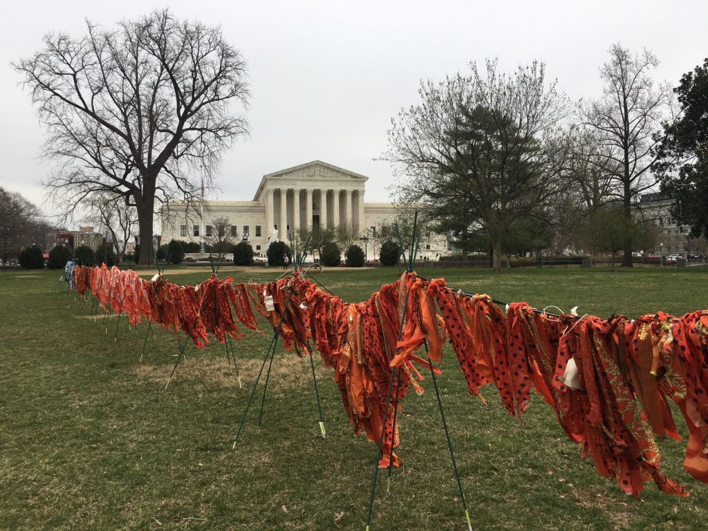 Jacqueline von Edelberg gun violence installation with Supreme Court