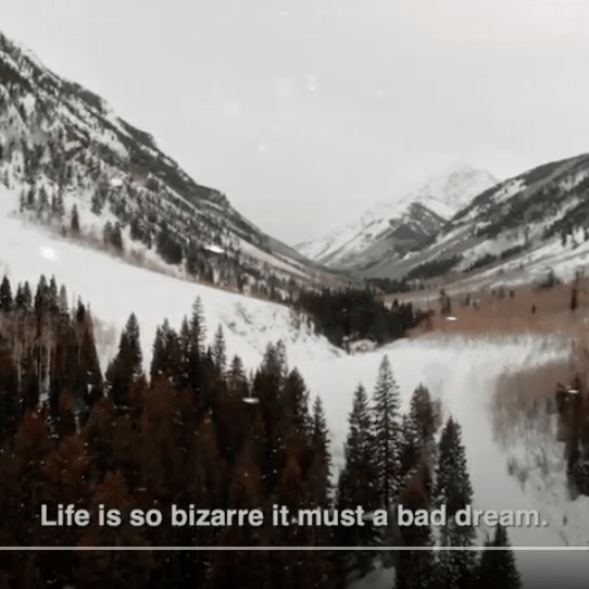 Snow covered mountains with text reading: Life is so bizarre it must be a bad dream