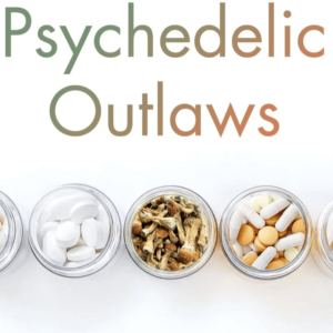 Part of the Psychedelic Outlaws book cover. Glass dishes containing tablets, mushrooms, and capsules.